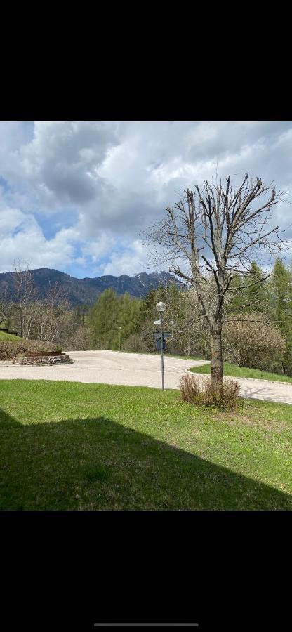 Casa Gilda Val Di Fiemme - Dolomiti Apartment Кавалезе Екстериор снимка